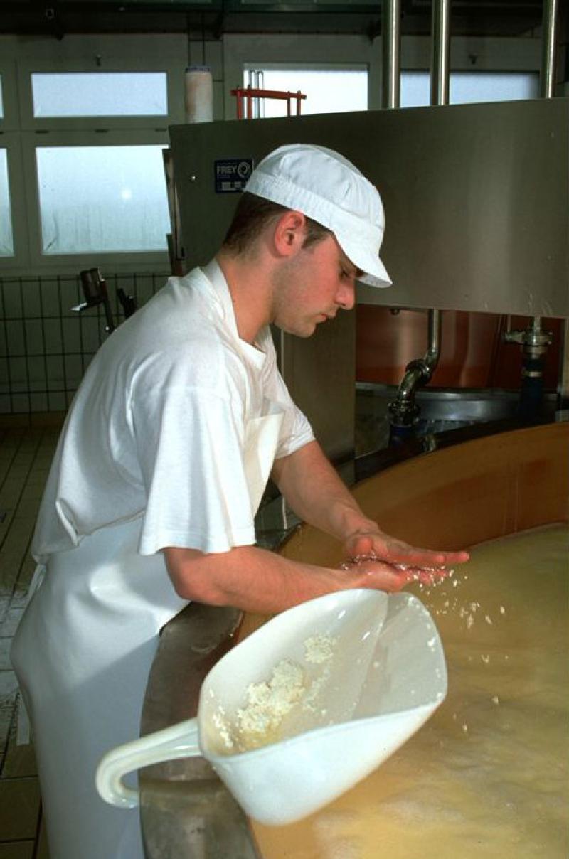 Milchpraktiker