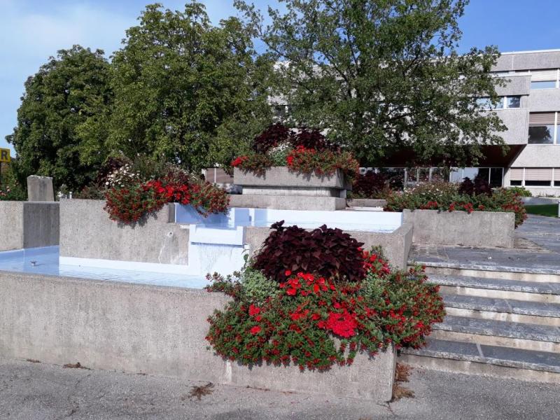 Massif de fleurs